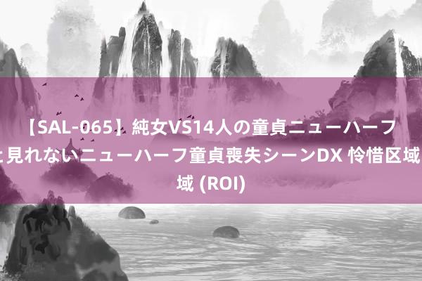 【SAL-065】純女VS14人の童貞ニューハーフ 二度と見れないニューハーフ童貞喪失シーンDX 怜惜区域 (ROI)