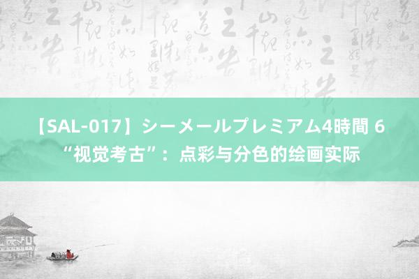 【SAL-017】シーメールプレミアム4時間 6 “视觉考古”：点彩与分色的绘画实际