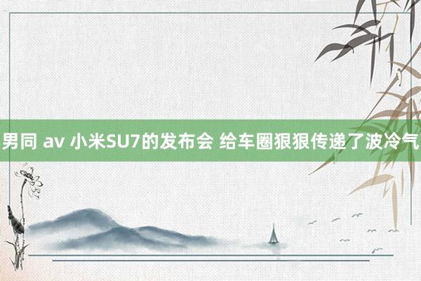 男同 av 小米SU7的发布会 给车圈狠狠传递了波冷气