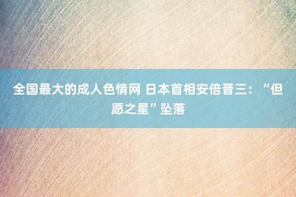 全国最大的成人色情网 日本首相安倍晋三：“但愿之星”坠落