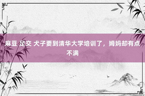 麻豆 足交 犬子要到清华大学培训了，姆妈却有点不满