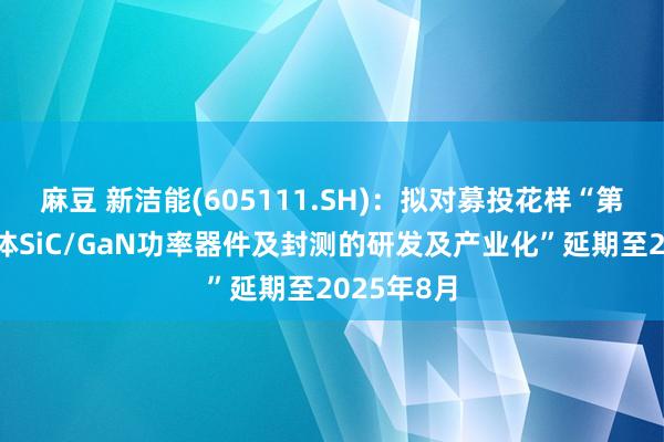 麻豆 新洁能(605111.SH)：拟对募投花样“第三代半导体SiC/GaN功率器件及封测的研发及产业化”延期至2025年8月