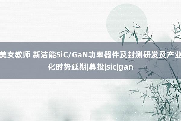 美女教师 新洁能SiC/GaN功率器件及封测研发及产业化时势延期|募投|sic|gan