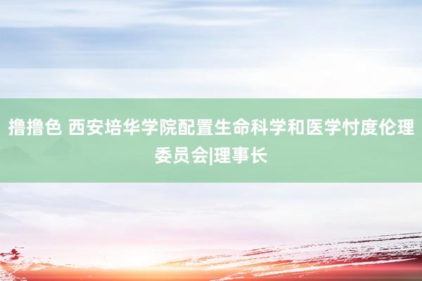 撸撸色 西安培华学院配置生命科学和医学忖度伦理委员会|理事长