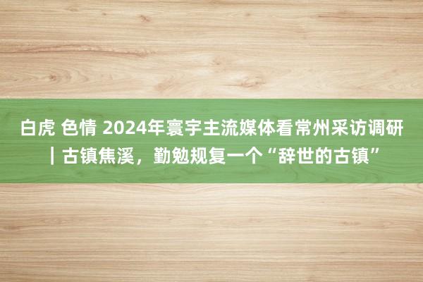 白虎 色情 2024年寰宇主流媒体看常州采访调研｜古镇焦溪，勤勉规复一个“辞世的古镇”