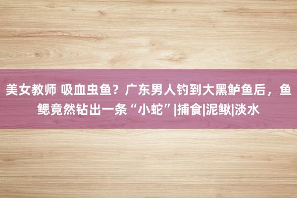 美女教师 吸血虫鱼？广东男人钓到大黑鲈鱼后，鱼鳃竟然钻出一条“小蛇”|捕食|泥鳅|淡水