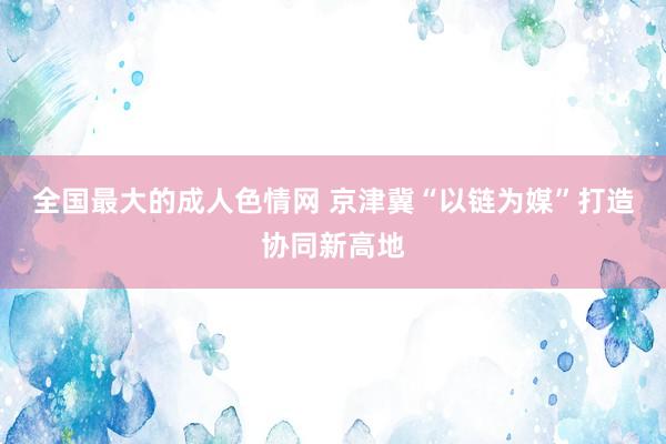 全国最大的成人色情网 京津冀“以链为媒”打造协同新高地