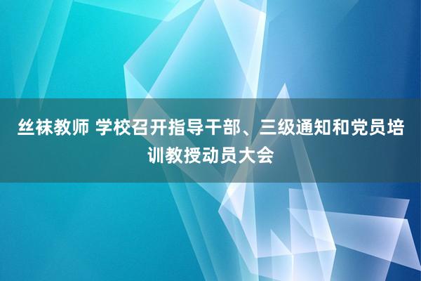 丝袜教师 学校召开指导干部、三级通知和党员培训教授动员大会