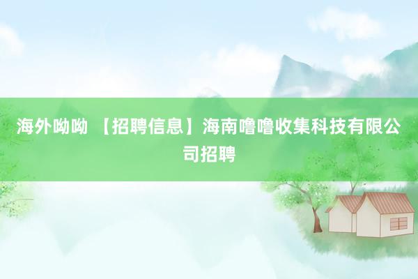 海外呦呦 【招聘信息】海南噜噜收集科技有限公司招聘