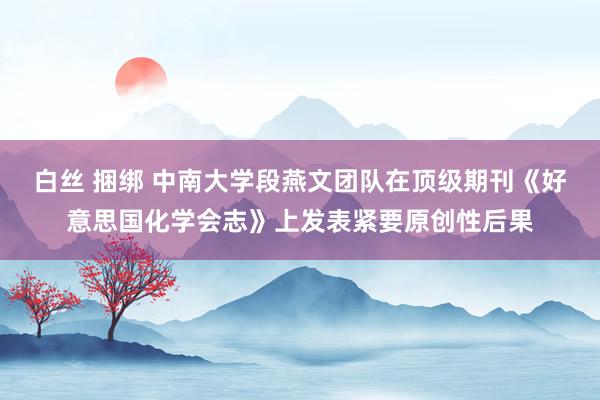 白丝 捆绑 中南大学段燕文团队在顶级期刊《好意思国化学会志》上发表紧要原创性后果