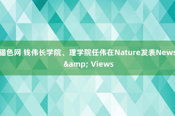 猫色网 钱伟长学院、理学院任伟在Nature发表News & Views